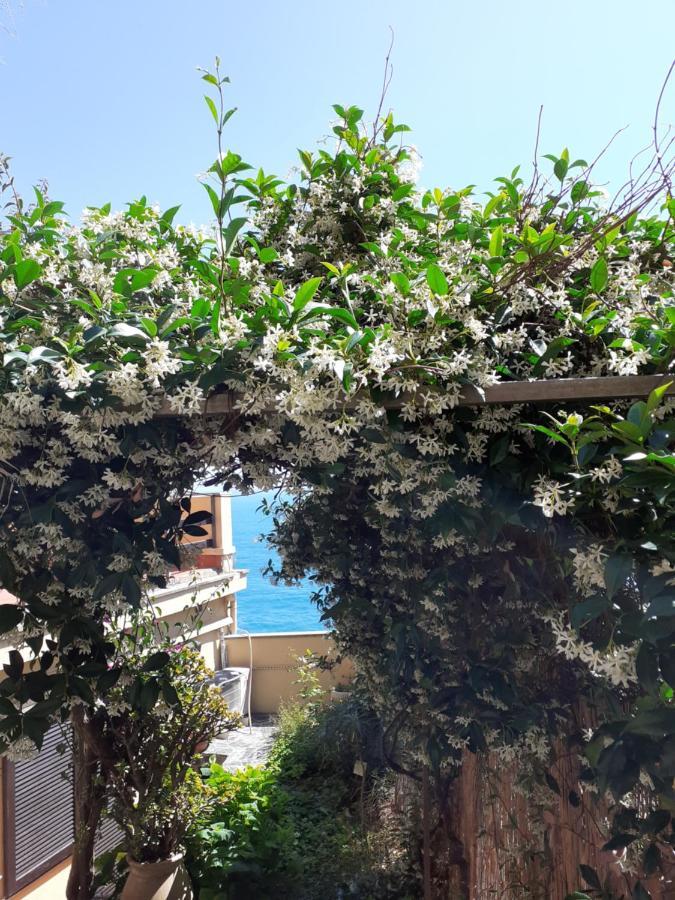Raggio Di Luna Manarola Ngoại thất bức ảnh